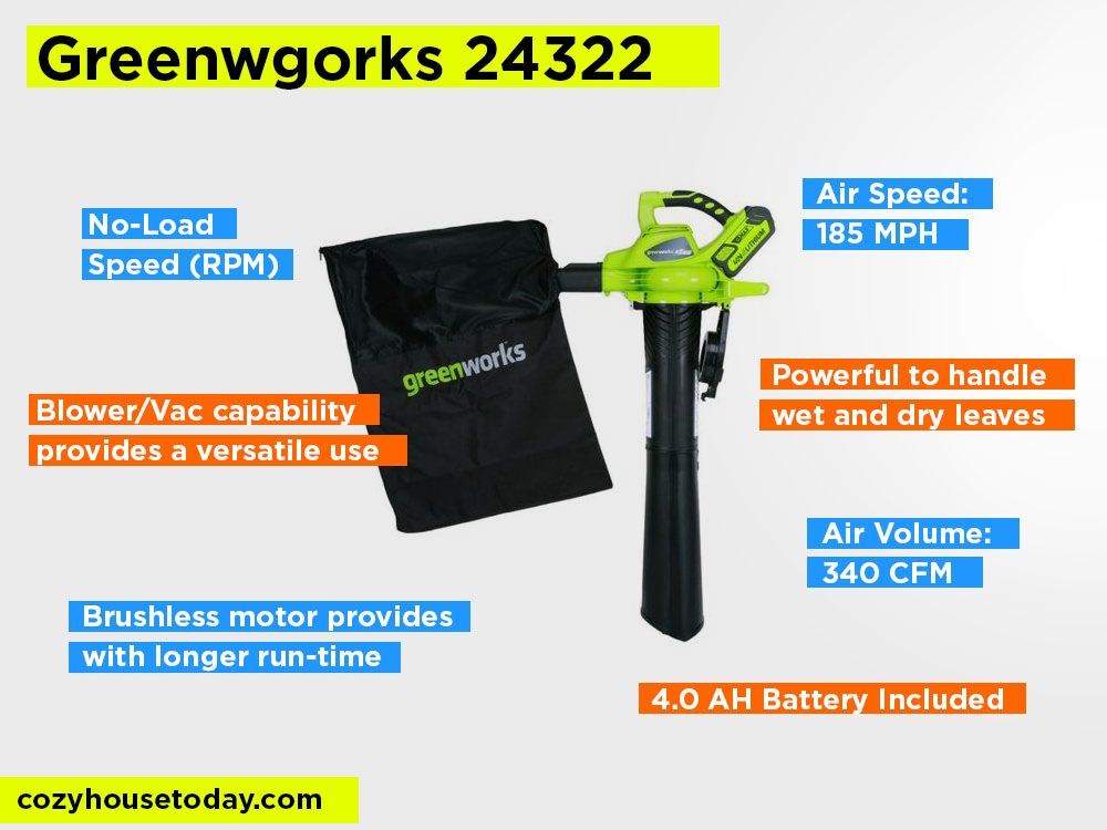 Greenwgorks 24322 Review, Pros and Cons. Check Best Leaf Vacuums 2024
