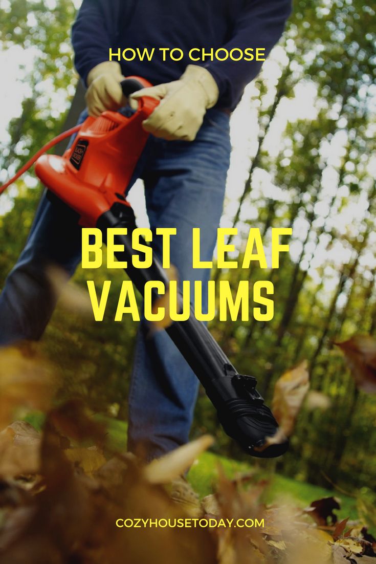 Best Leaf Vacuums 2018