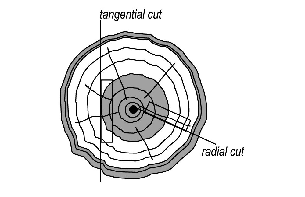 Tangential and radial cutting angles