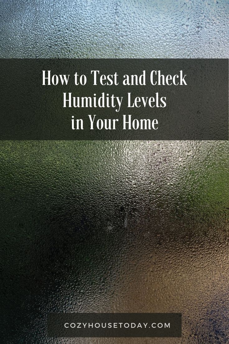 How to Test and Check Humidity Levels in Your Home