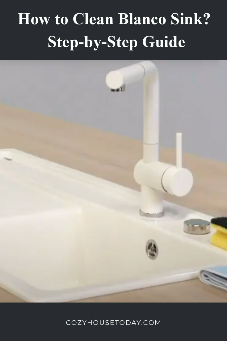 How to clean blanco sink? Step-by-step guide-1