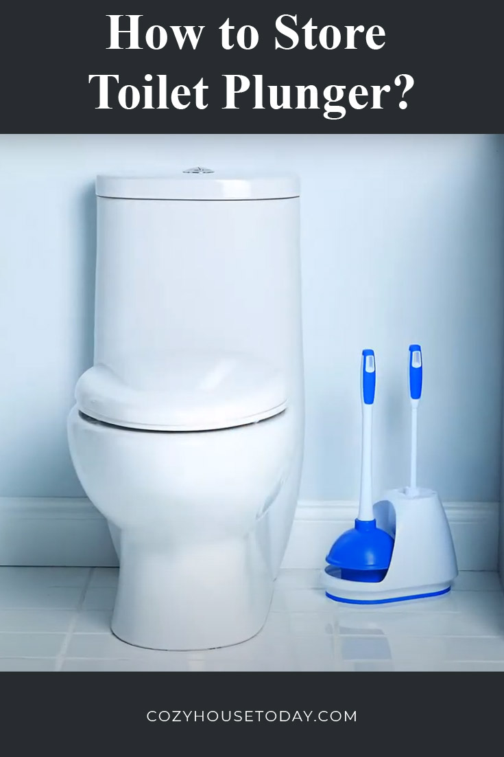 How to store toilet plunger-1