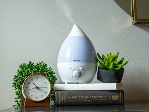 The healthy climate humidifier: how to keep your home's air quality in check-300
